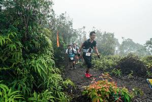 BIB: 
                            <button type="button" onclick="openModal(26272063)" class="btn btn-primary btn-sm float-right btn-popup" data-toggle="modal" data-target=".modal-high-quality">
                        <i class="fas fa-shopping-cart"></i> Add to Cart
                    </button>
                                            <button type="button" onclick="isThisMe(26272063, true)" class="btn btn-success btn-sm float-right btn-popup btn-isme hidden" data-toggle="tooltip" data-placement="bottom" title="นี่คือรูปของคุณใช่ไหม คลิกที่นี่เพื่อเอาเข้าอัลบั้ม">
                        <i class="fas fa-plus"></i> Add to album
                    </button>
                    <button type="button" onclick="isThisMe(26272063, false)" class="btn btn-warning btn-sm float-right btn-popup btn-isnotme hidden">
                        <i class="fas fa-ban"></i> Remove from album
                    </button>